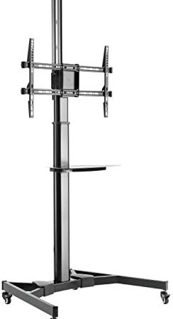 RICOO TV Ständer Rollbar Höhenverstellbar Universal für 40-75 Zoll, Fernsehständer mit Rollen FS0364, Stand Fernseh Standfuß Fernseher Standfuss bis 50 Kg, max. VESA 600x400 mm, TV Standfüße