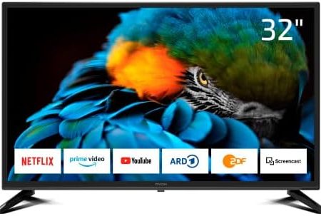 DYON Smart 32 XT 80 cm (32 Zoll) Fernseher (HD Smart TV, HD Triple Tuner (DVB-C/-S2/-T2), Prime Video, Netflix & HbbTV) [Modelljahr 2022], Schwarz