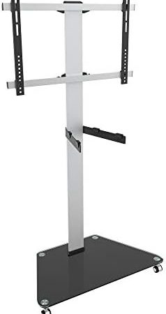 RICOO TV Ständer Rollbar Höhenverstellbar Universal für 30-65 Zoll, Fernsehständer mit Rollen FS0300, Stand Fernseh Standfuß Fernseher Standfuss bis 30 Kg, max. VESA 600x400 mm, TV Standfüße